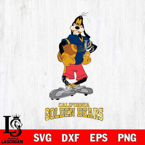 California Golden Bears Goofy Player SVG DXF EPS PNG FILE,NCAA svg ,Football Digital Download,Instant Download, Silhouette