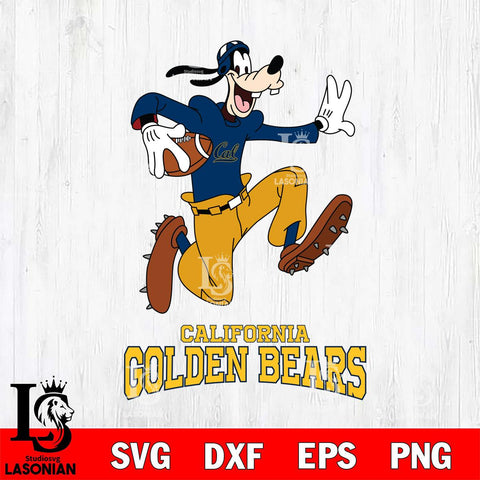 California Golden Bears Goofy rugby Sport SVG DXF EPS PNG FILE,NCAA svg ,Football Digital Download,Instant Download, Silhouette