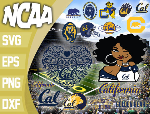 California Golden Bears svg svg eps dxf png file, bundle ncaa svg, ncaa svg