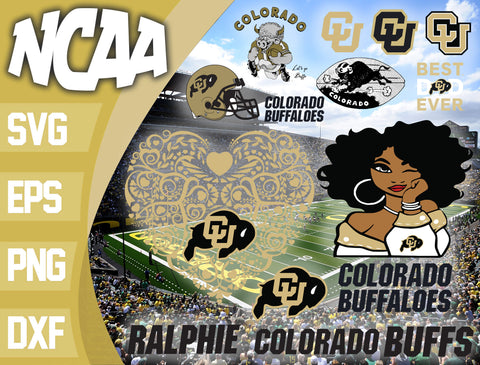 Colorado Buffaloes svg svg eps dxf png file, bundle ncaa svg, ncaa svg