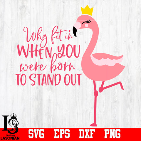Flamingo, Summer, Why fit in when you were born to stand out, Aloha, Funny svg,eps,dxf,png file