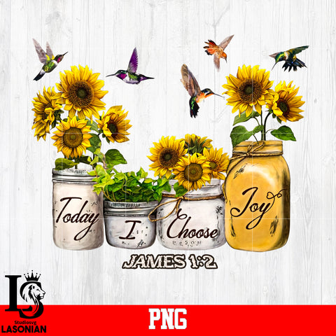 Today I Choose Joy James PNG file