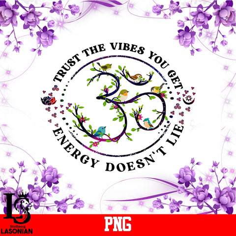 Trust The Vibes You Get Energy Doesn't Lie PNg file