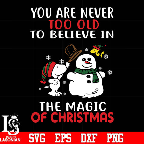 You are never too old to believe in the magic of christmas svg, png, dxf, eps digital file